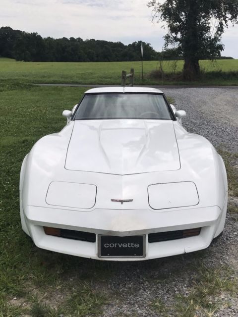 1981 Chevrolet Corvette - photo 4