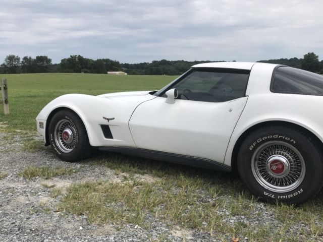 1981 Chevrolet Corvette - photo 6