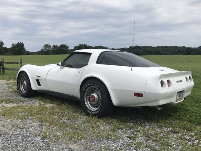 1981 Chevrolet Corvette - photo 7