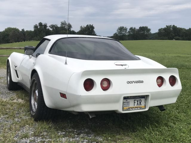 1981 Chevrolet Corvette - photo 8