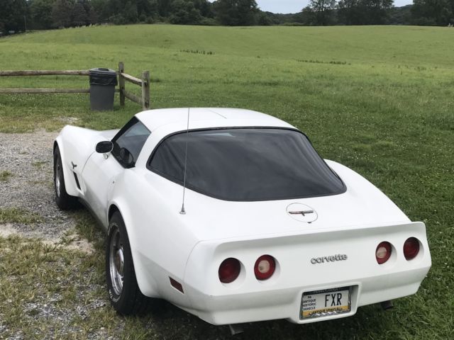 1981 Chevrolet Corvette - photo 9