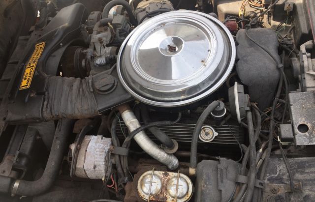 1981 Chevrolet Corvette - photo 12