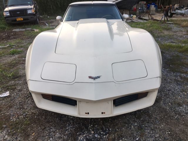 1981 Chevrolet Corvette - photo 2