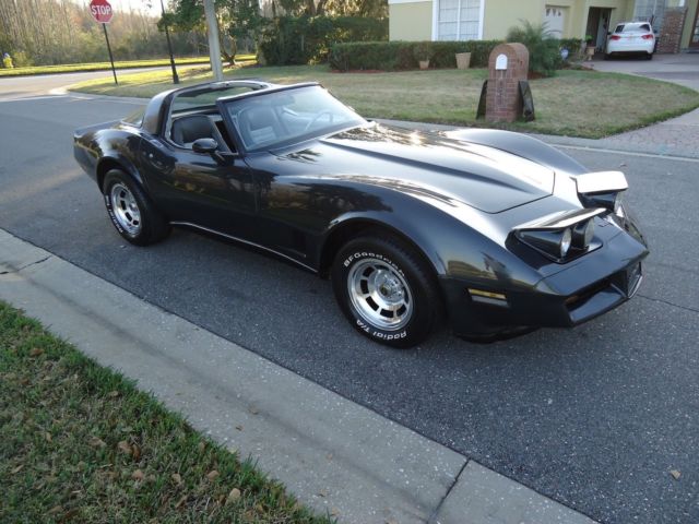 1981 Chevrolet Corvette - photo 10