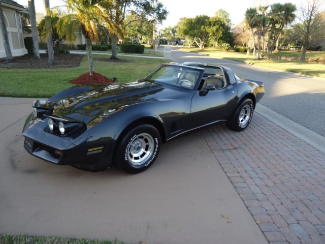 1981 Chevrolet Corvette - photo 12