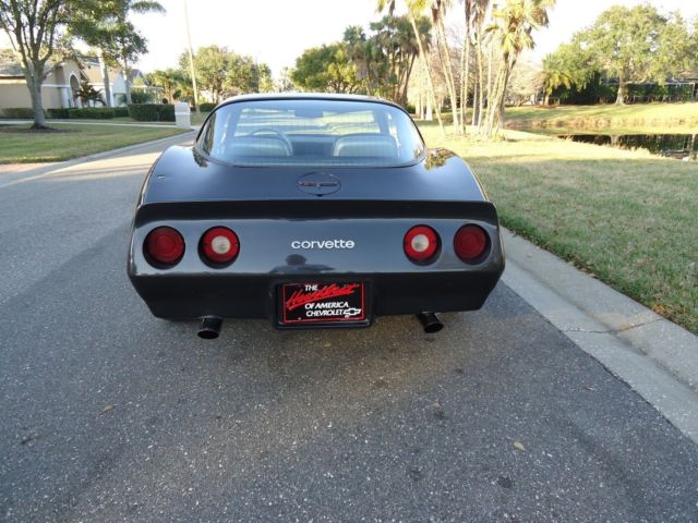 1981 Chevrolet Corvette - photo 7