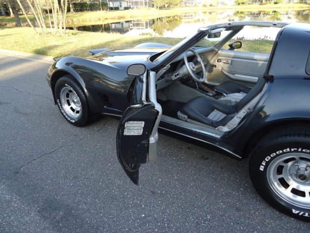 1981 Chevrolet Corvette - photo 9