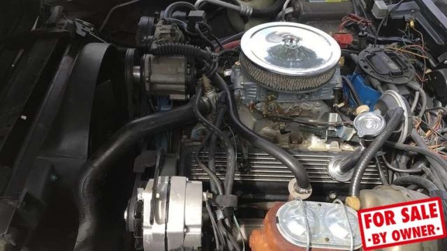 1981 Chevrolet Corvette 8 Cylinder 305 Gasoline Engine - photo 7