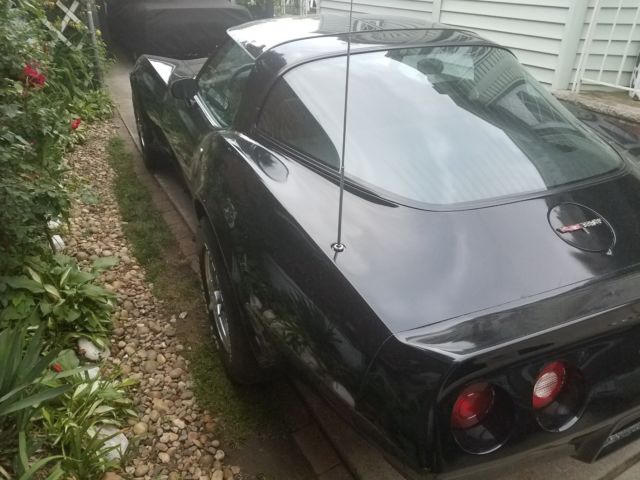 1981 Chevrolet Corvette T-TOP Coupe - photo 4