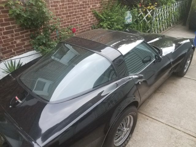 1981 Chevrolet Corvette T-TOP Coupe - photo 6