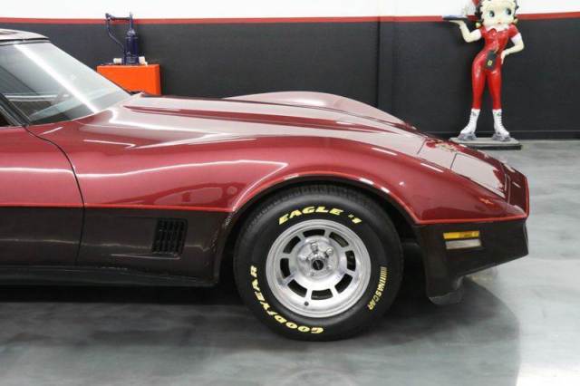 1981 Chevrolet Corvette Base 2dr Coupe - photo 11