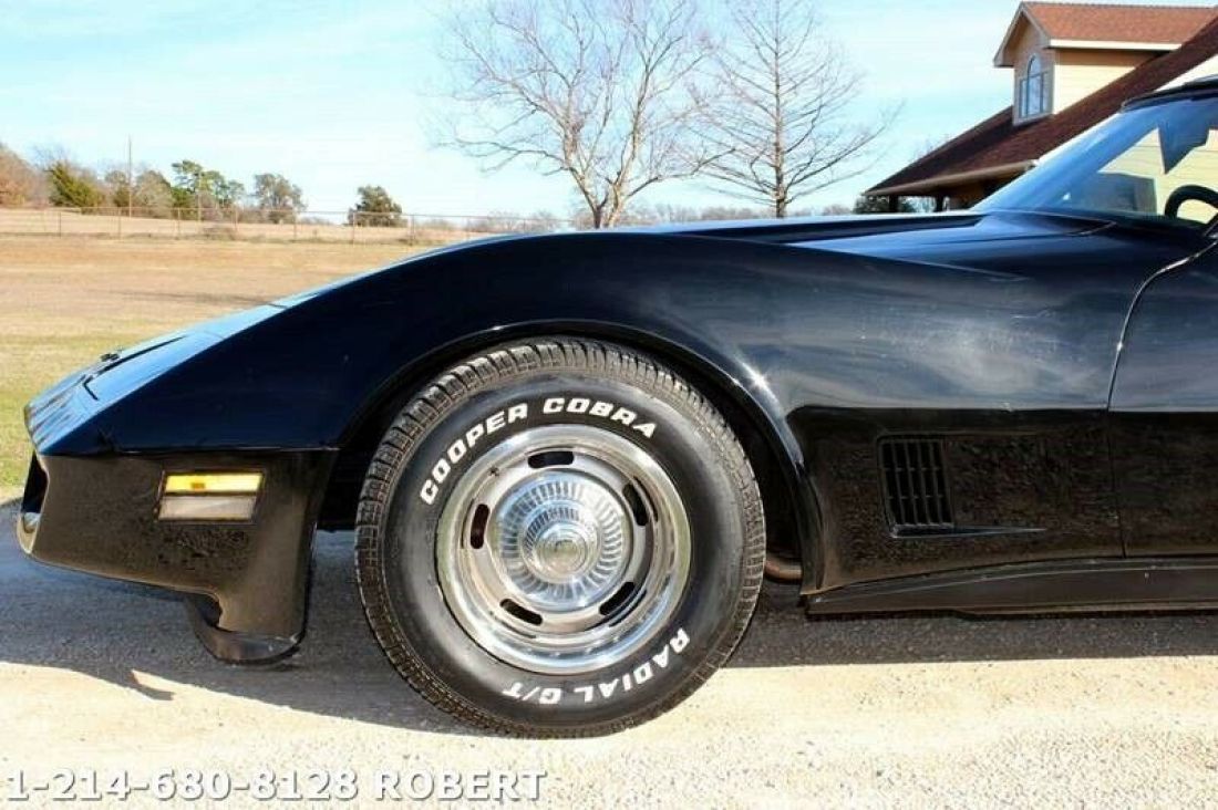 1981 Chevrolet Corvette Base 2dr Coupe - photo 10