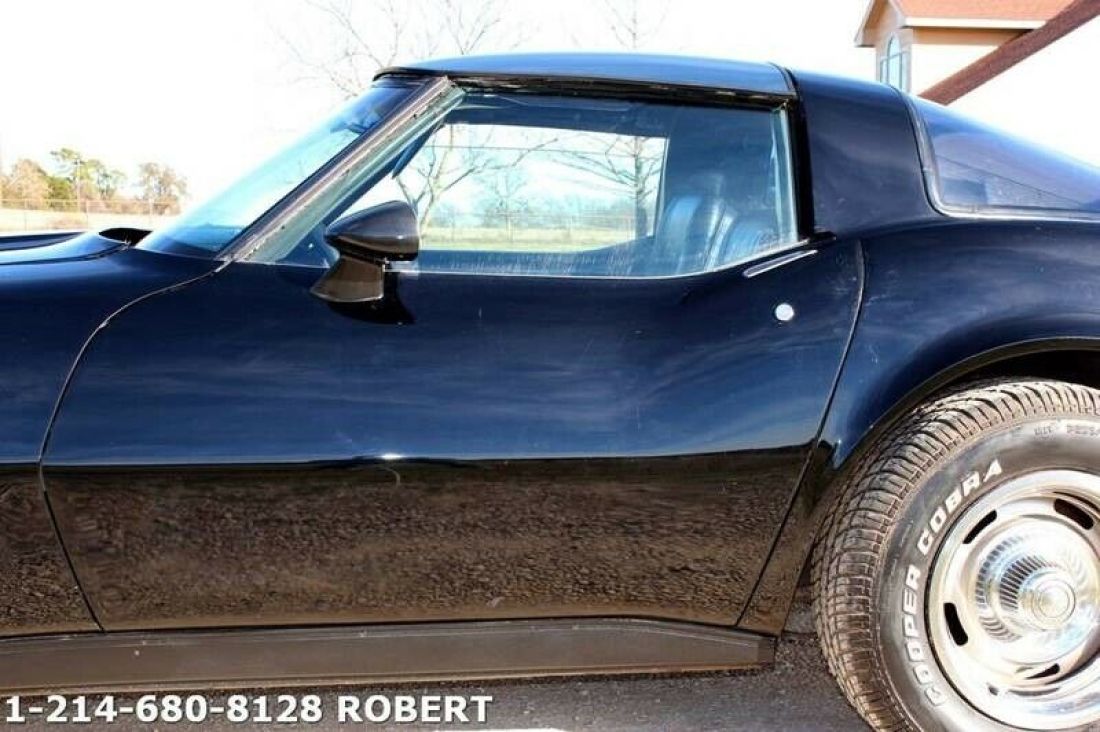 1981 Chevrolet Corvette Base 2dr Coupe - photo 11