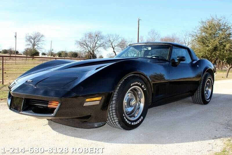 1981 Chevrolet Corvette Base 2dr Coupe - photo 2