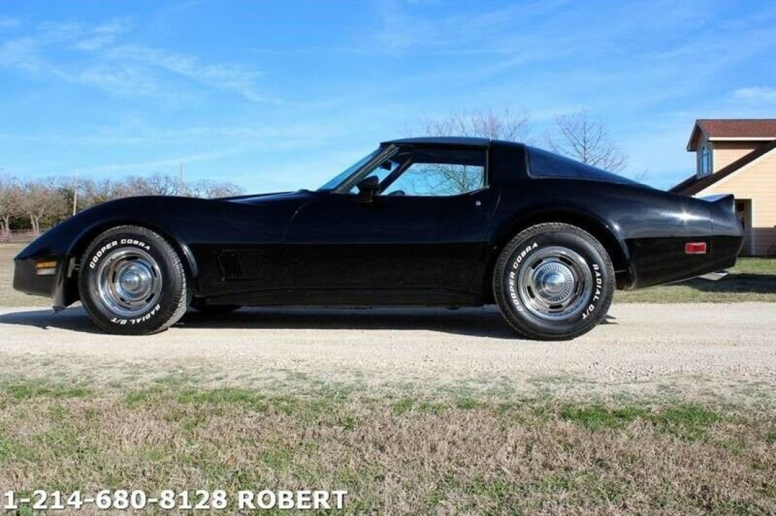 1981 Chevrolet Corvette Base 2dr Coupe - photo 9