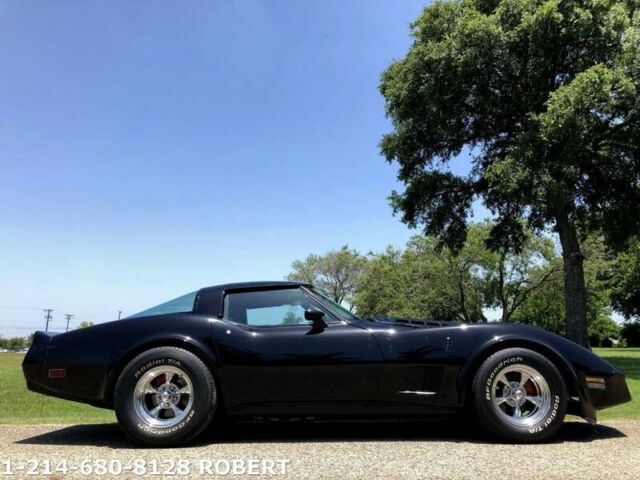 1981 Chevrolet Corvette -- - photo 13