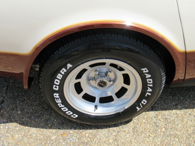 1981 Chevrolet Corvette BOWLING GREEN EDITION - photo 10