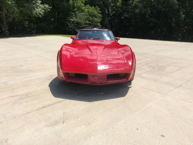 1981 Chevrolet Corvette - photo 12