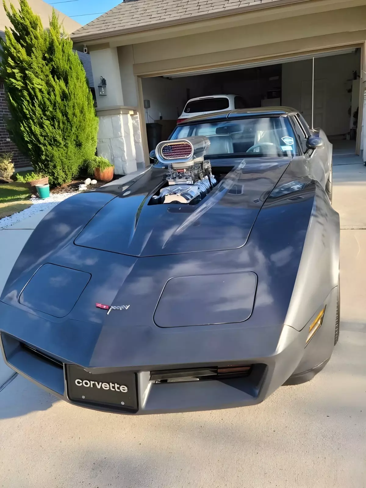 1981 Chevrolet Corvette - photo 3