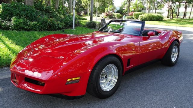 1981 CHEVROLET CORVETTE CONVERTIBLE ONE OF A KIND FABULOUS CONDITION IN AN OUT 1981 Chevrolet Corvette CONVERTIBLE