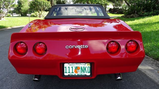 1981 Chevrolet Corvette CONVERTIBLE - photo 11