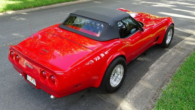 1981 Chevrolet Corvette CONVERTIBLE - photo 3
