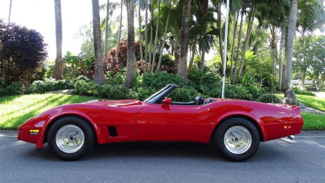 1981 Chevrolet Corvette CONVERTIBLE - photo 4
