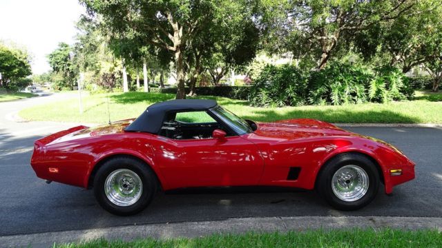 1981 Chevrolet Corvette CONVERTIBLE - photo 5