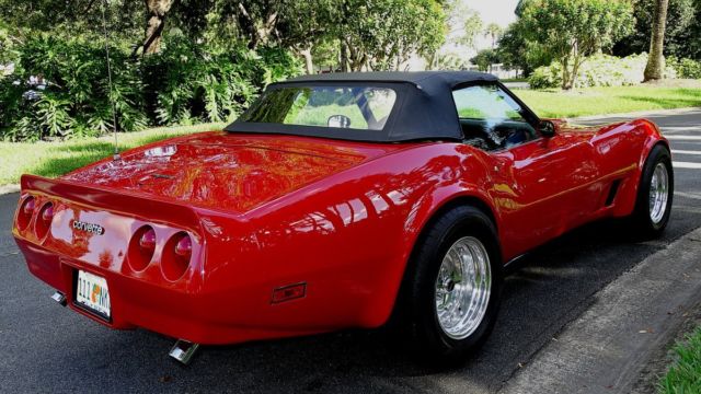 1981 Chevrolet Corvette CONVERTIBLE - photo 6