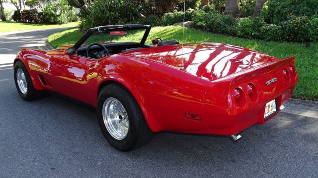 1981 Chevrolet Corvette CONVERTIBLE - photo 8