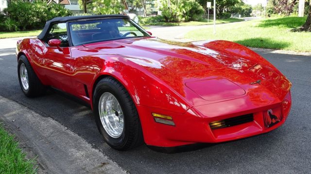1981 Chevrolet Corvette CONVERTIBLE - photo 9