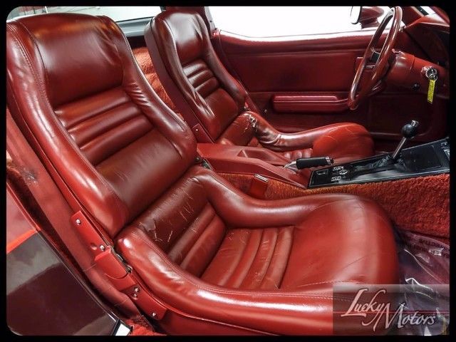 1981 Chevrolet Corvette Coupe - photo 10