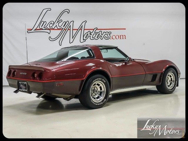 1981 Chevrolet Corvette Coupe - photo 8