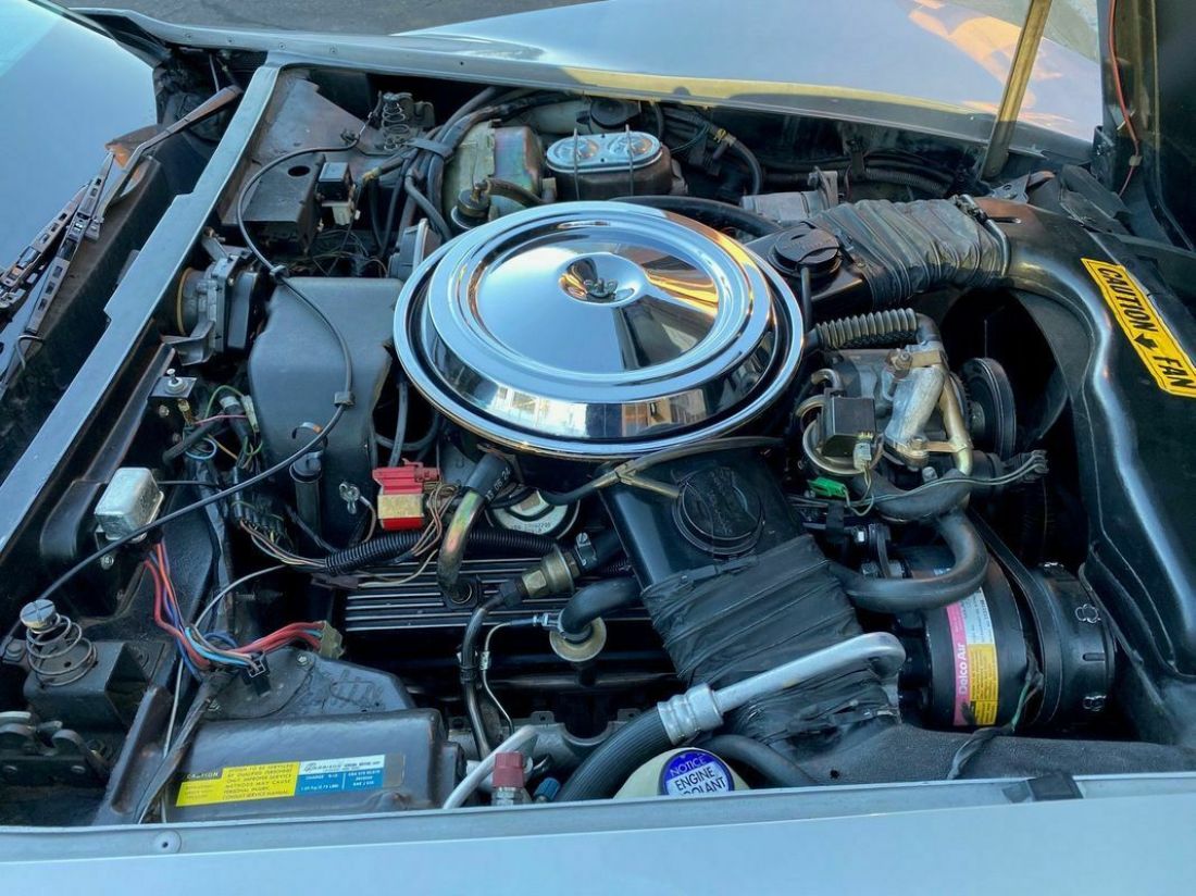 1981 Chevrolet Corvette Coupe Extremely Clean, 55k Miles, Number Matching - photo 11