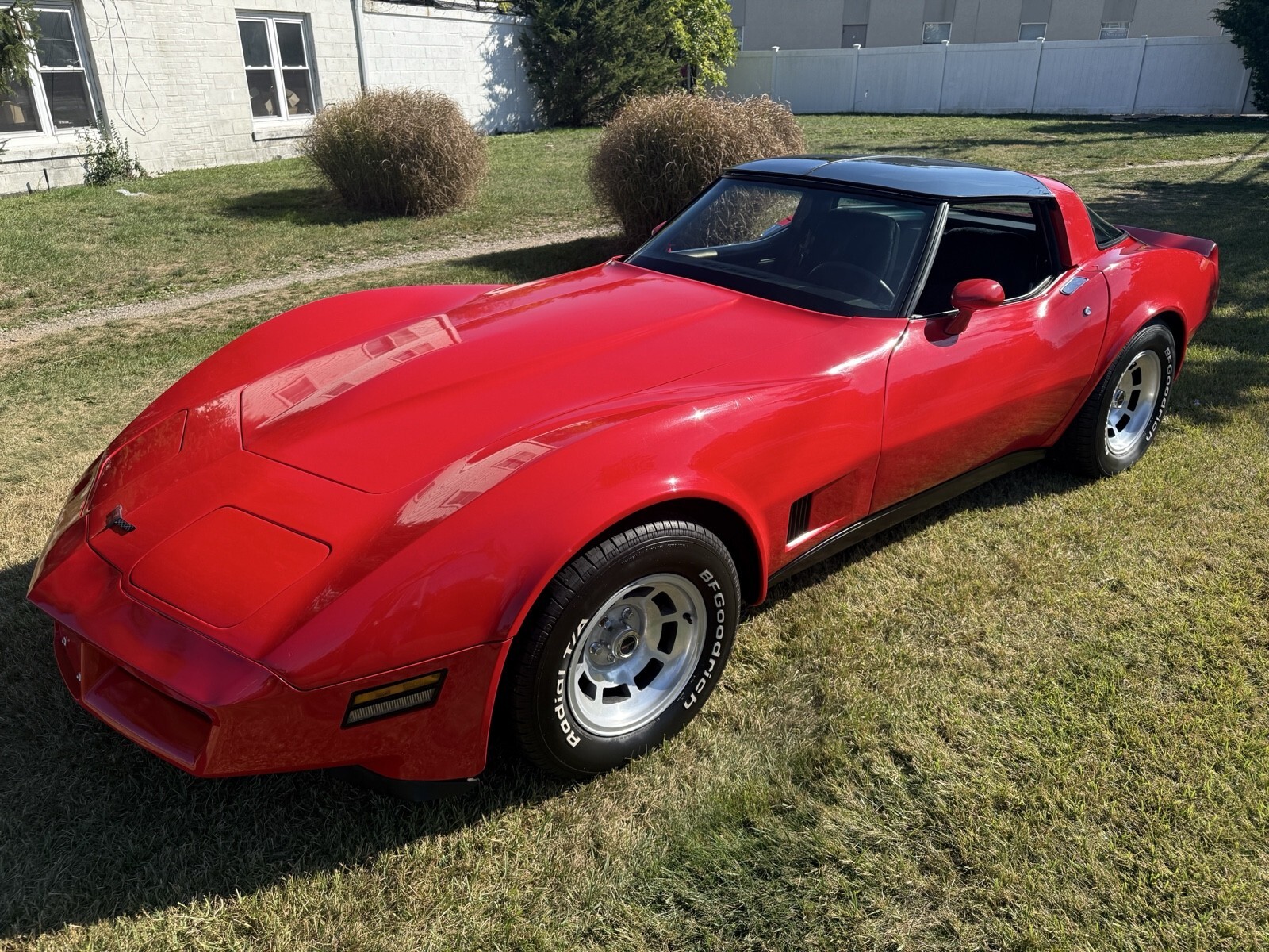 1981 Chevrolet Corvette - photo 10