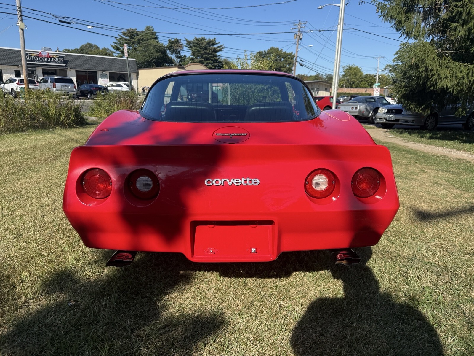 1981 Chevrolet Corvette - photo 5