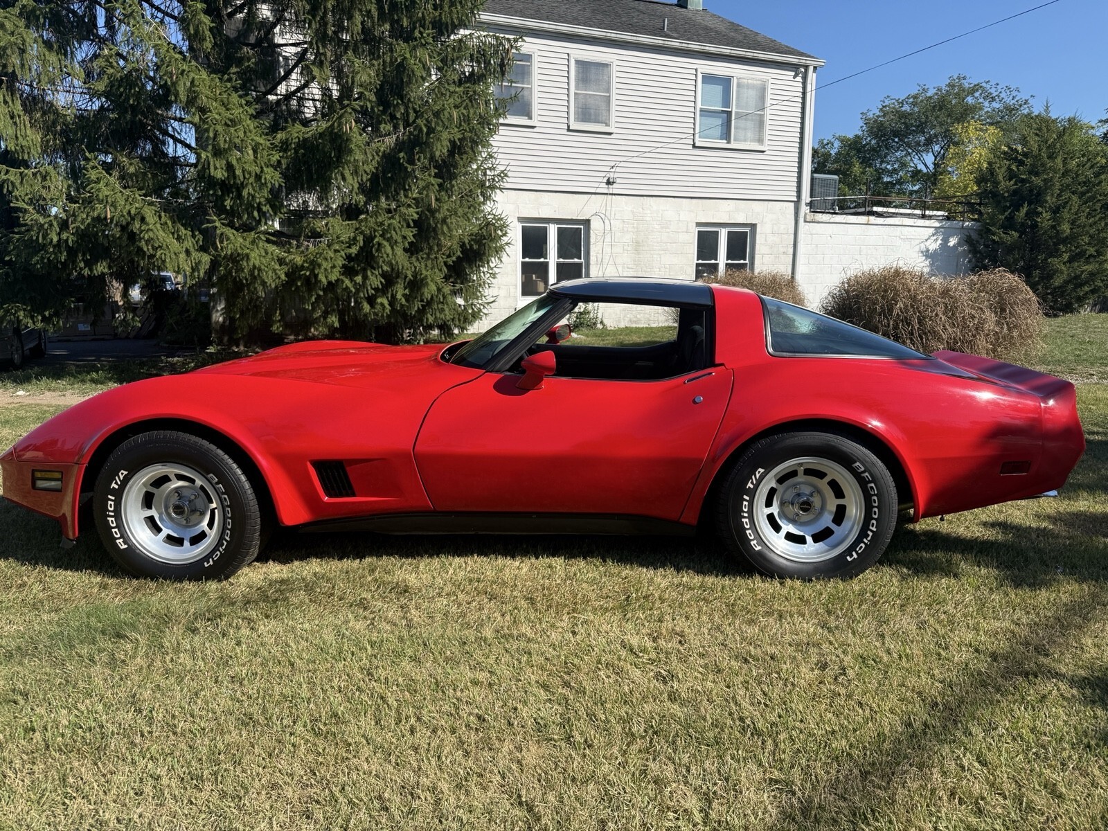 1981 Chevrolet Corvette - photo 7