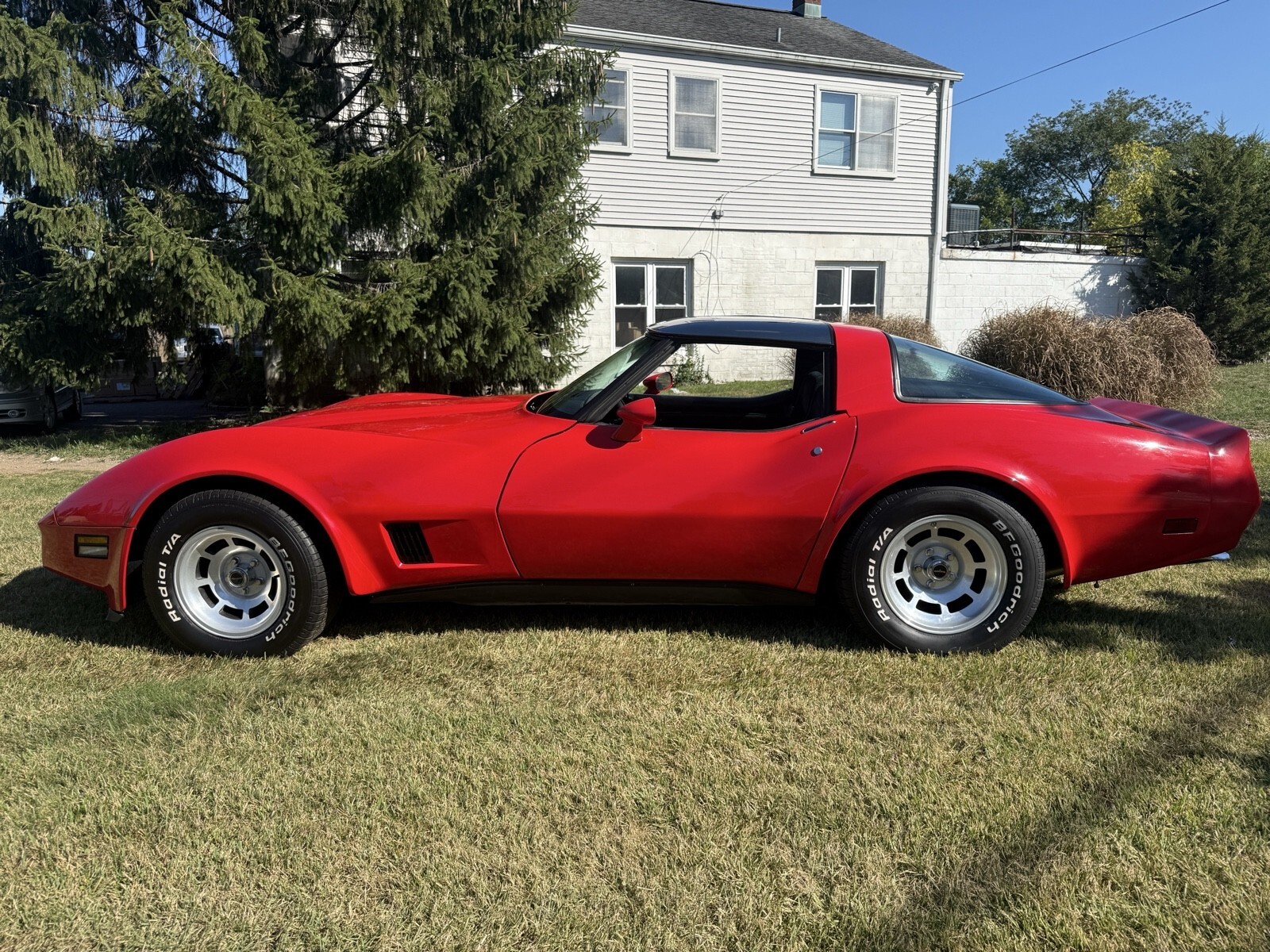 1981 Chevrolet Corvette - photo 8