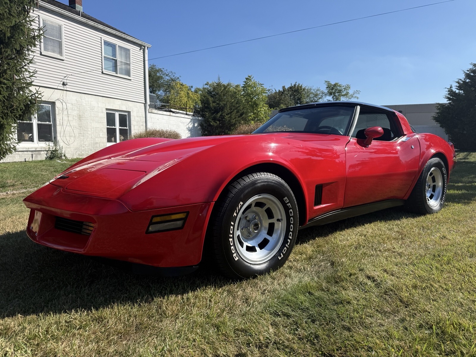 1981 Chevrolet Corvette - photo 9