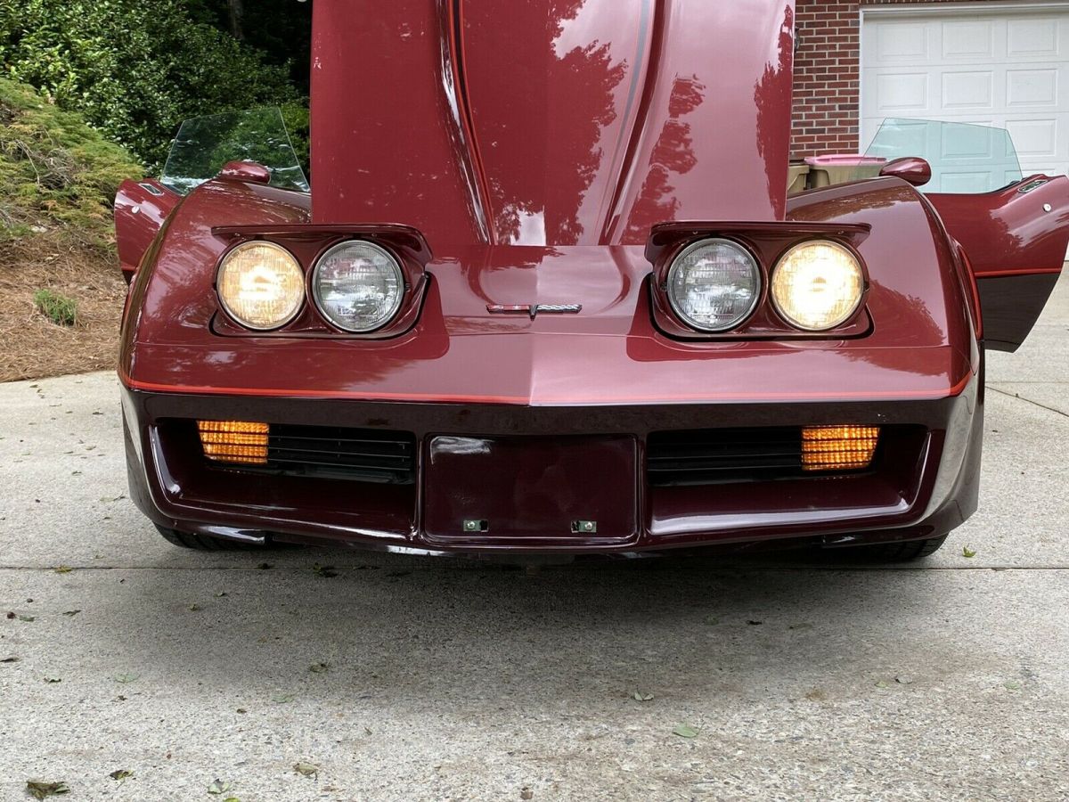 1981 Chevrolet Corvette - photo 8