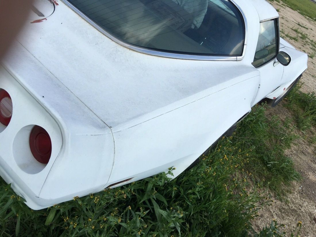 1981 Chevrolet Corvette - photo 5