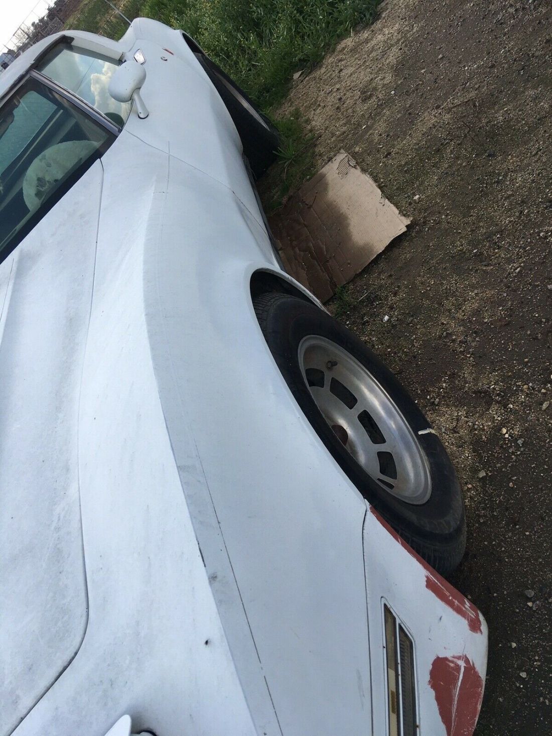 1981 Chevrolet Corvette - photo 6
