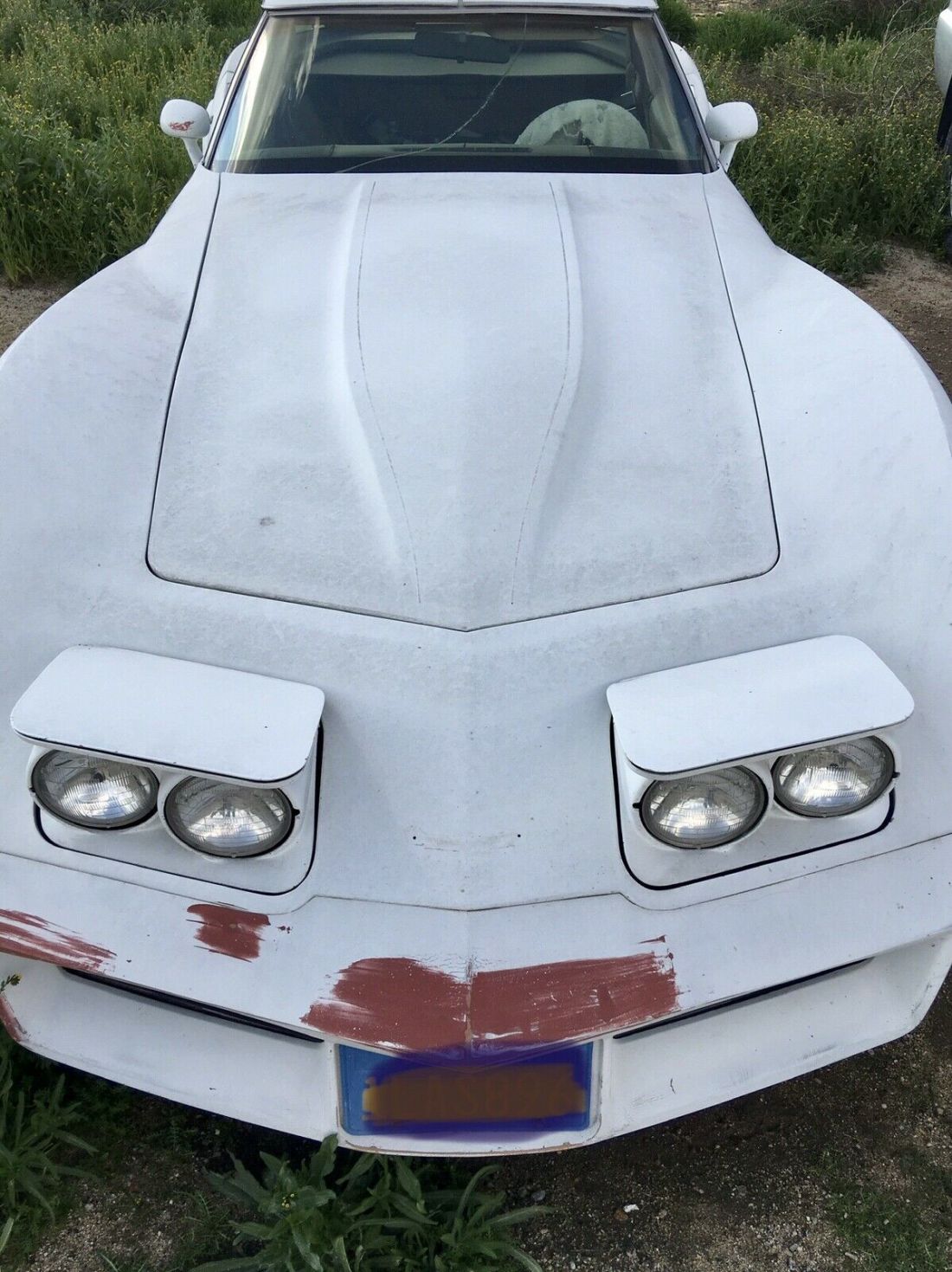 1981 Chevrolet Corvette - photo 7