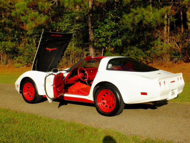 1981 Chevrolet Corvette - photo 7