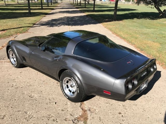 1981 Chevrolet Corvette Base Coupe 2-Door - photo 10