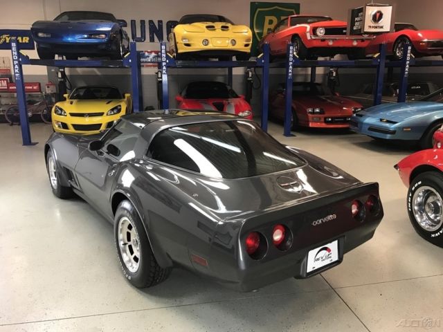 1981 Chevrolet Corvette Base Coupe 2-Door - photo 11