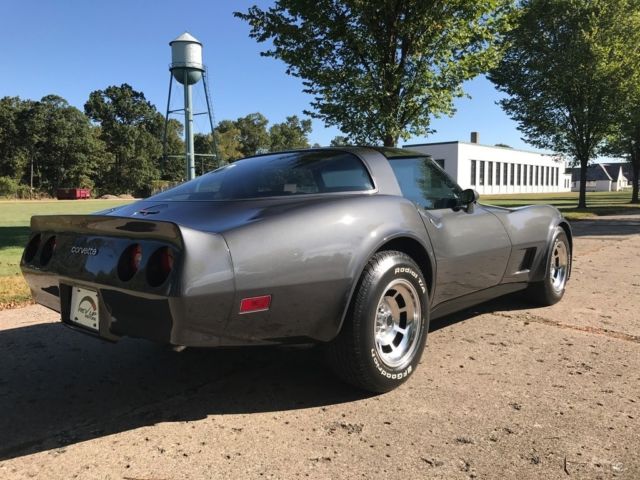 1981 Chevrolet Corvette Base Coupe 2-Door - photo 13
