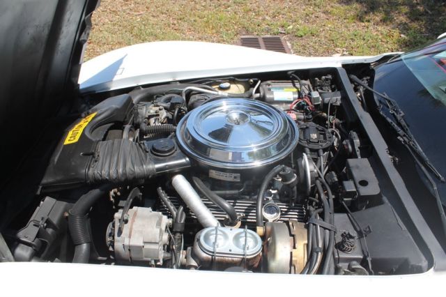 1981 Chevrolet Corvette Low Miles Automatic Glass T-Tops - photo 5