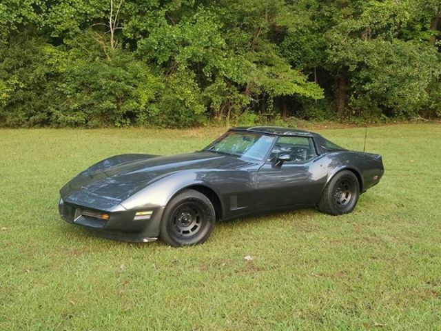 1981 Chevrolet Corvette. New Paint Relly Nice Driver NO RESERVE 1981 Chevrolet Corvette Corvette