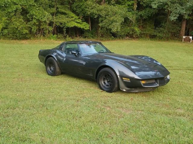 1981 Chevrolet Corvette Corvette - photo 2